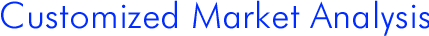 Customized Market Analysis